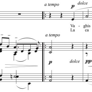 Stefano Donaudy: Vaghissima sembianza (transposed to 9 keys)