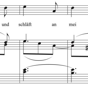 Franz Schubert: An die Nachtigall (transposed to 7 keys)