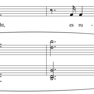 Franz Schubert: Der Doppelgänger (transposed to 7 keys)