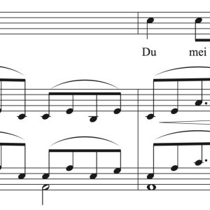 Robert Schumann: Widmung (transposed to 11 keys)