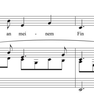 Robert Schumann: Du Ring an meinem Finger (transposed to 9 keys)