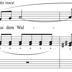 Richard Strauss: Die Nacht (transposed to 9 keys)